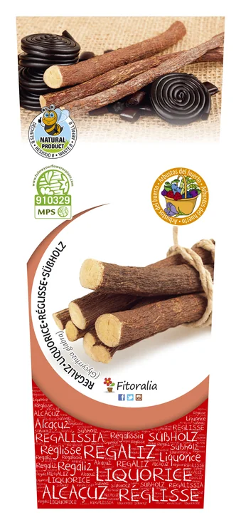 Planta de Regaliz (Glycyrrhiza glabra) en maceta de 2 litros